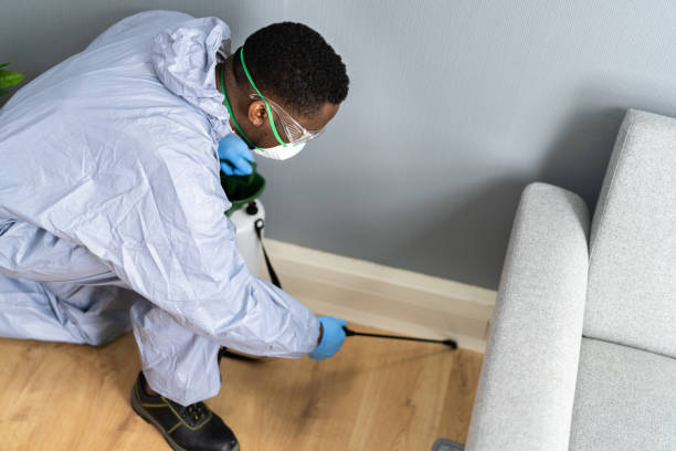 Best Fumigation Services  in Vienna, WV